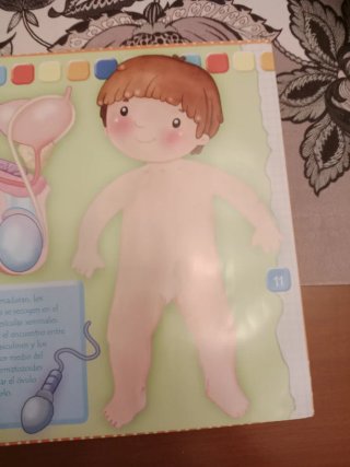 ¿Cómo nacemos? Libro infantil educativo.