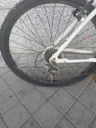 Bicicleta CUP'S Aluminio