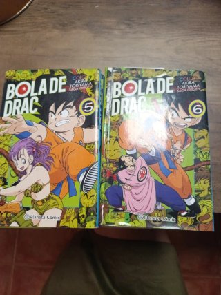 Bola de Drac color origen i cinta vermella 1,