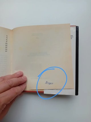 Mery per sempre di Aurelio Grimaldi