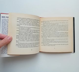 Mery per sempre di Aurelio Grimaldi