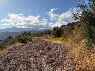Finca rústica en Félix (Almería)