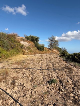 Finca rústica en Félix (Almería)