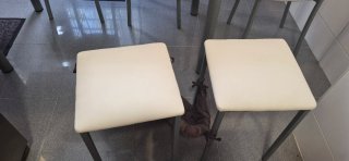 Mesa extensible madera y cristal