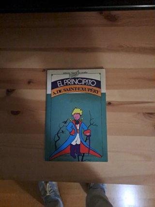 El principito libro