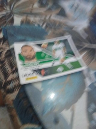 Cromo LIGA 2020-21 PETRHON