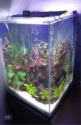 Acuario 96L con filtro e iluminación