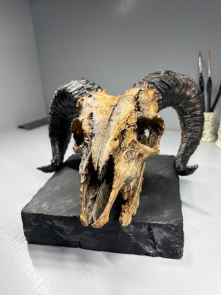 Cráneo de carnero 3D pintado a mano