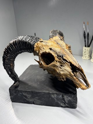 Cráneo de carnero 3D pintado a mano