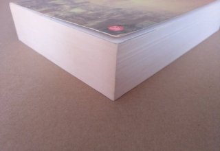 Bajo una luna misteriosa. Libro