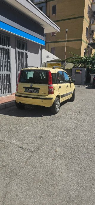 FIAT 169 2007