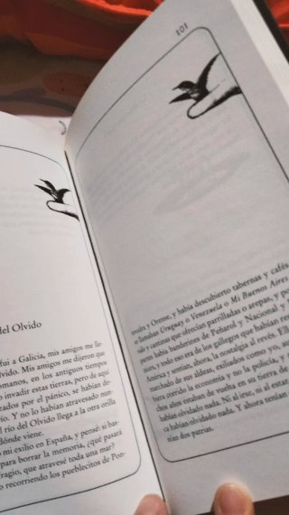 El libro de los abrazos (Spanish Edition)
