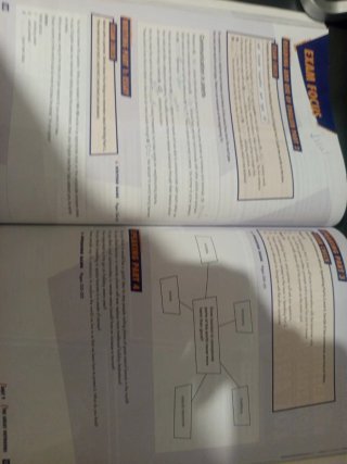Libro B2 First Cambridge