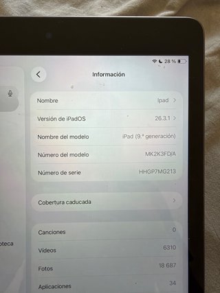 Apple iPad Plata