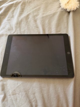 Apple iPad Plata