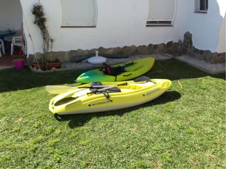 Piragua BIC DeardT