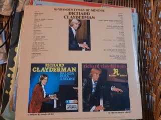 Lote Vinilos