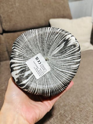 Maxi papera zebrata da collezione