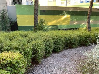 Jardinero