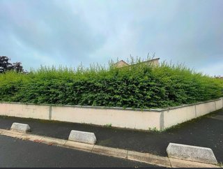 Jardinero
