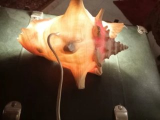 Lampada conchiglia vintage arancione/rossa
