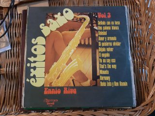 Lote Vinilos