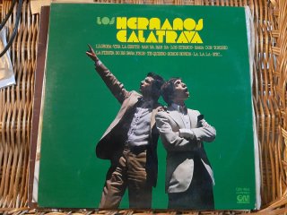 Lote Vinilos