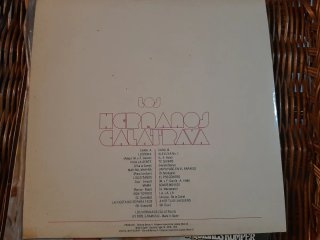 Lote Vinilos