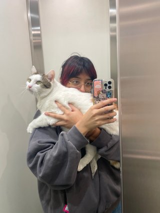 Servizio di pet sitting