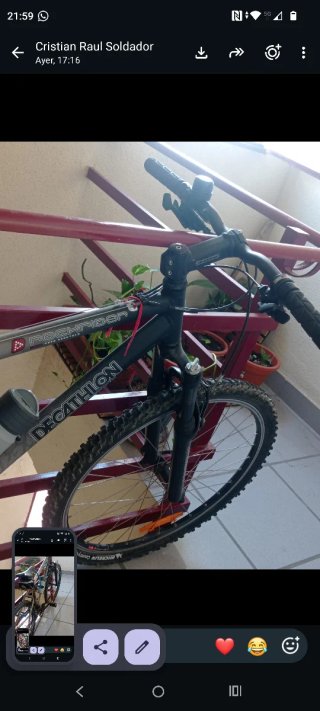Bicicleta de Montaña