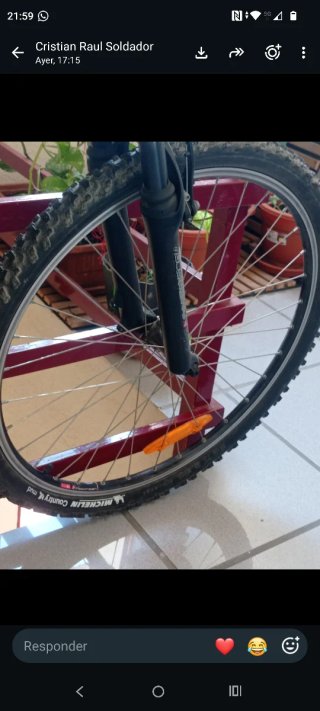Bicicleta de Montaña