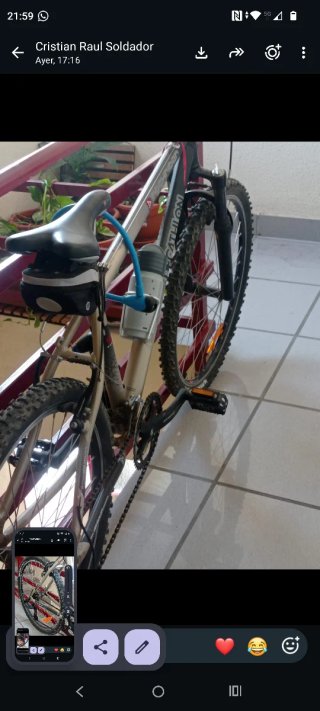 Bicicleta de Montaña