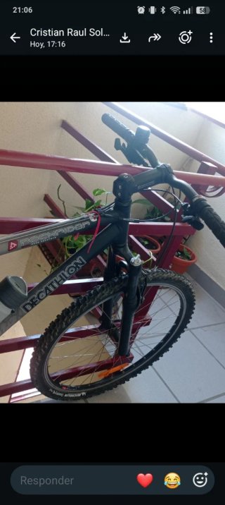 Bicicleta de Montaña