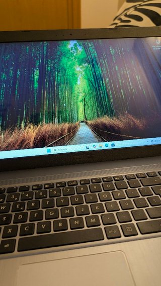 Portátil ASUS F540Y 15.6 AMD E1-7010 4GB 1TB
