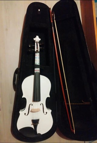 Kit Violín Aileen Premium 4/4 NUEVO + Atril y Acc.