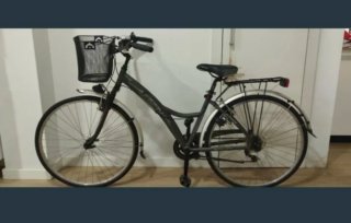 Bicicleta Urbana Gris