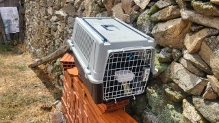 Jaula Transportín Perros Gris y Negro