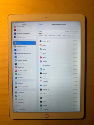 Ipad pro 12,9 pulgadas 1 gen, 256 gb