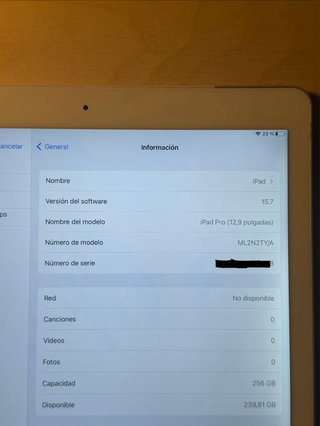 Ipad pro 12,9 pulgadas 1 gen, 256 gb