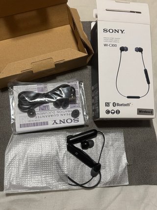 Auriculares Sony WI-C300 Bluetooth Negros