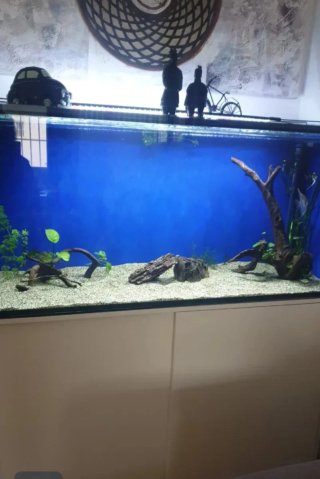 Acuario 400L con mueble