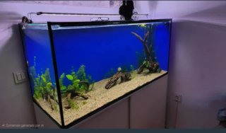 Acuario 400L con mueble