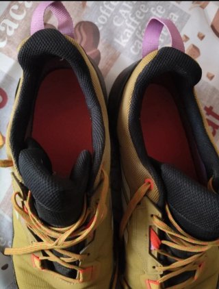 Botas montaña Adidas Terrex GTX