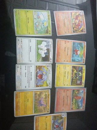 Lote de cartas Pokémon