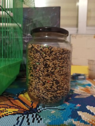 Jaula para pájaros verde.
