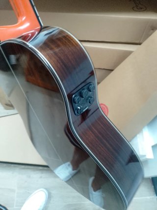 Guitarra Flamenca Autoamplificada