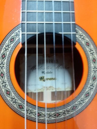 Guitarra Flamenca Autoamplificada
