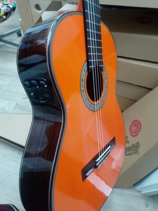 Guitarra Flamenca Autoamplificada
