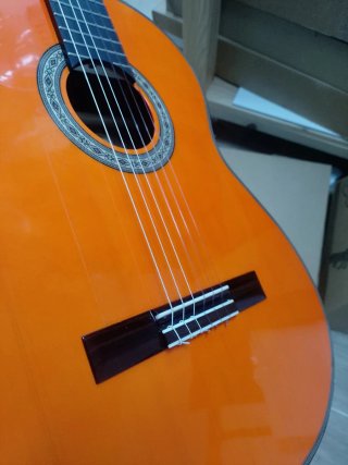 Guitarra Flamenca Autoamplificada