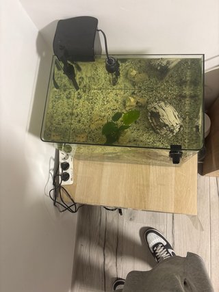 Acuario completo con filtro y calentador